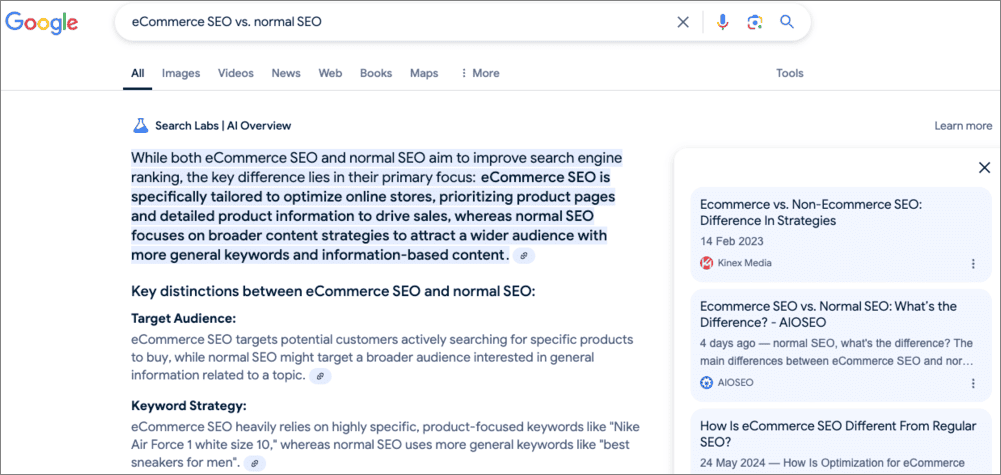 Google search results for "eCommerce SEO vs normal SEO" showing AI Overview comparing key differences in focus, keywords, and audience.